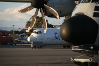 Hercule C-130 sur le tarmac
