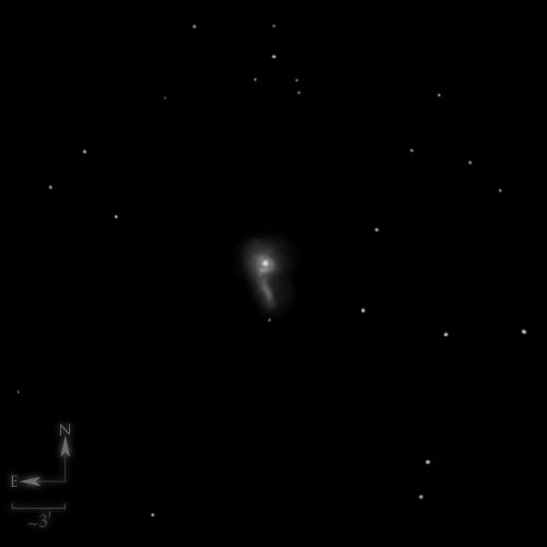 Dessin de NGC 7023, la nébuleuse de l'iris