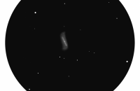 NGC 2903