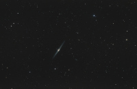 NGC 4565